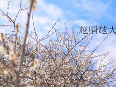 叶怀佩 《越唱越大声》 电视剧春梅主题曲 1080P