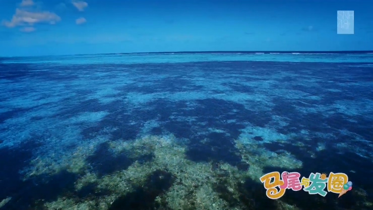SNH48 《马尾与发圈》 泳装版 1080P
