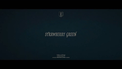 YELLOW黄宣《Strawberry Green》
