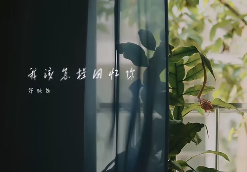 好妹妹《我该怎样回忆你》1080P