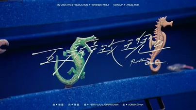 陈蕾《五瓣玫瑰》1080P